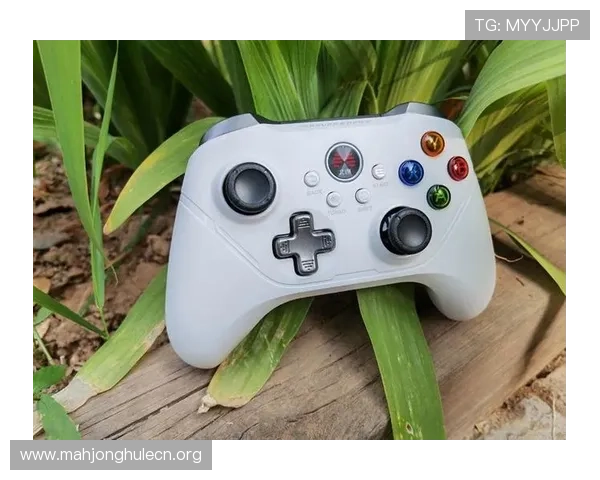 PGSOFT游戏电游官网注册流程与新手指南帮助玩家快速上手畅享游戏乐趣