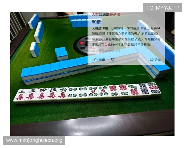 PG麻将胡了10高手实战经验分享提升牌技的实用技巧与策略全面解析游戏中的关键点